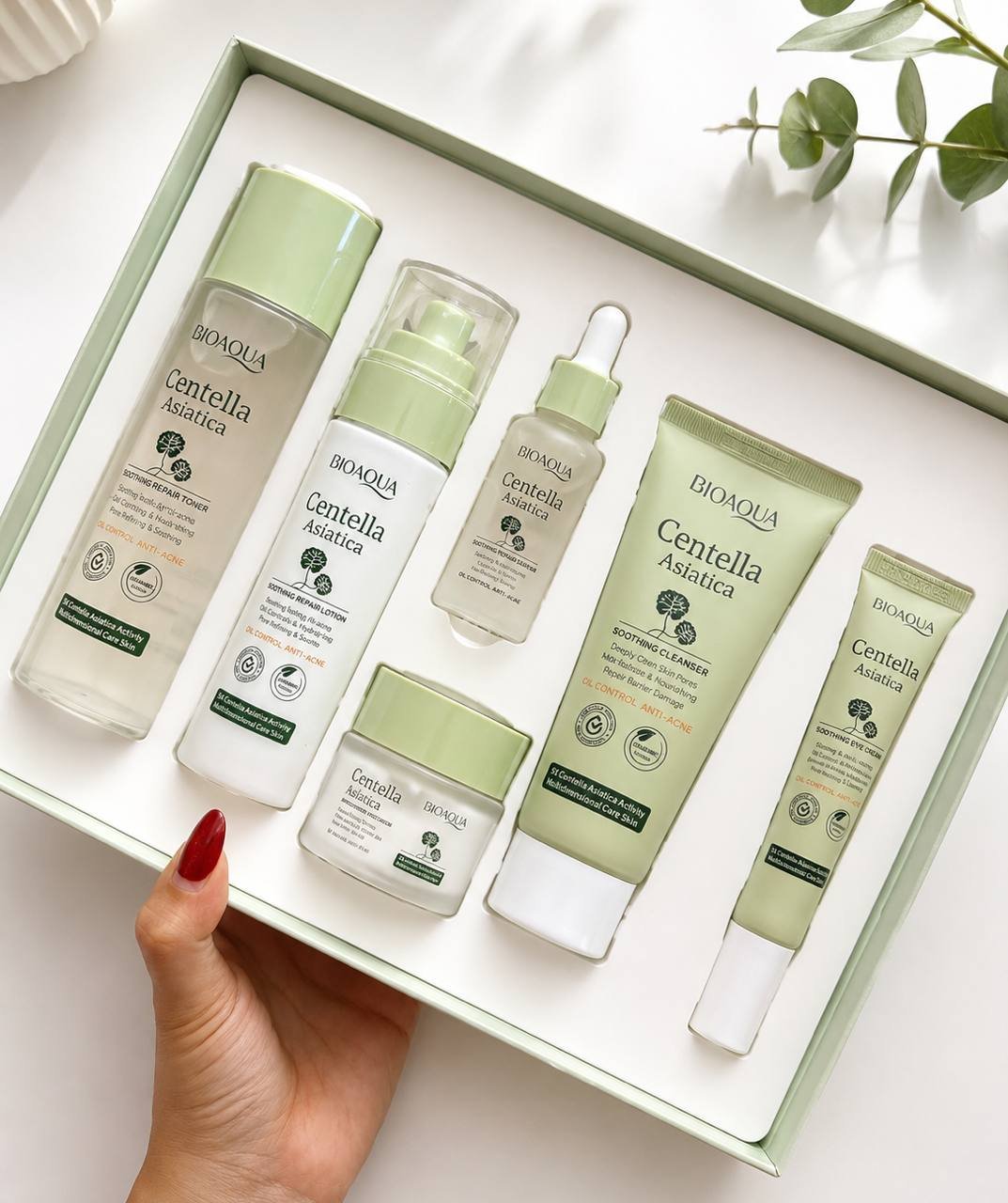 📦 BOX CENTELLA ASIATICA 💚