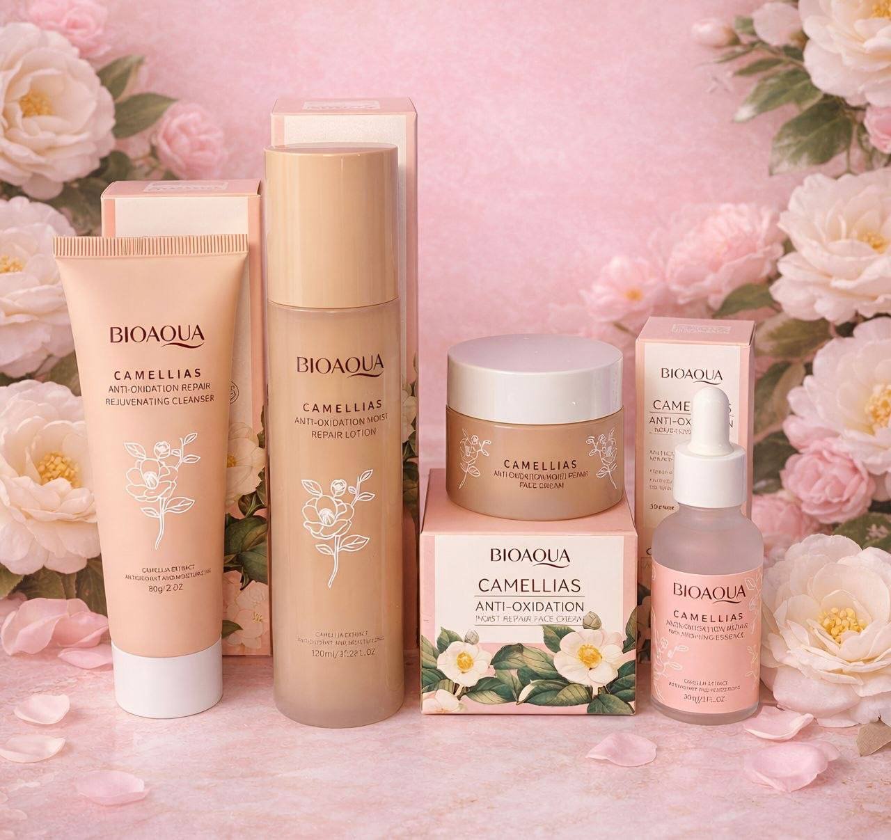 🌸 COMBO CAMELIAS BIAOQUA 🌸